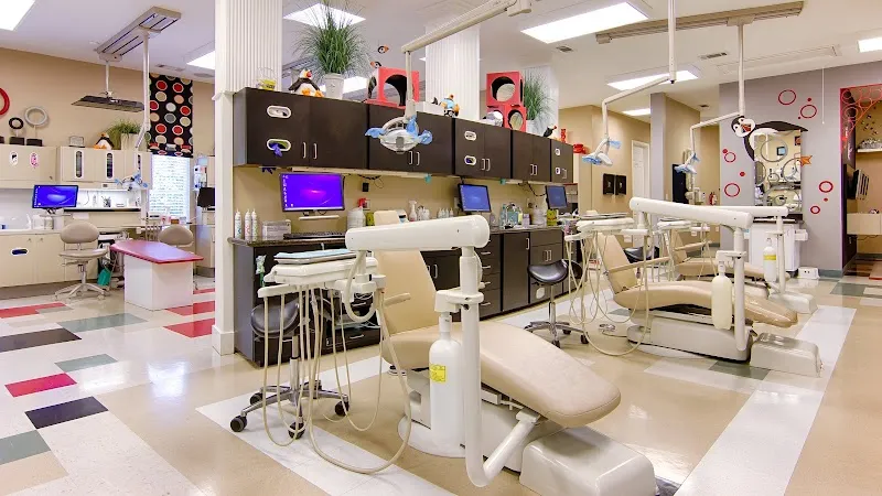 Bradley Scott Harris, DDS — pediatric dentist in Conroe