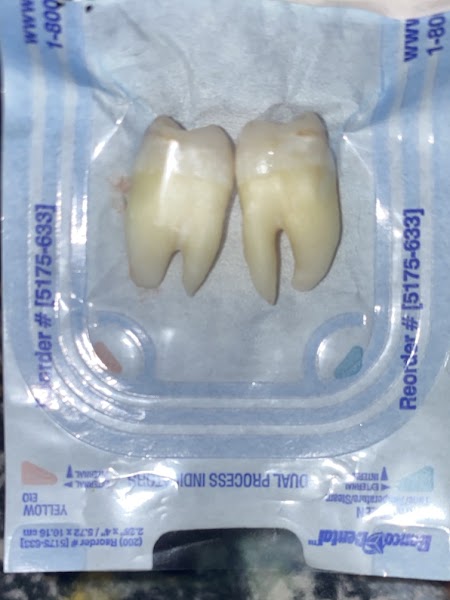 Reyna My-linh Nguyen, DDS — pediatric dentist in Port Arthur