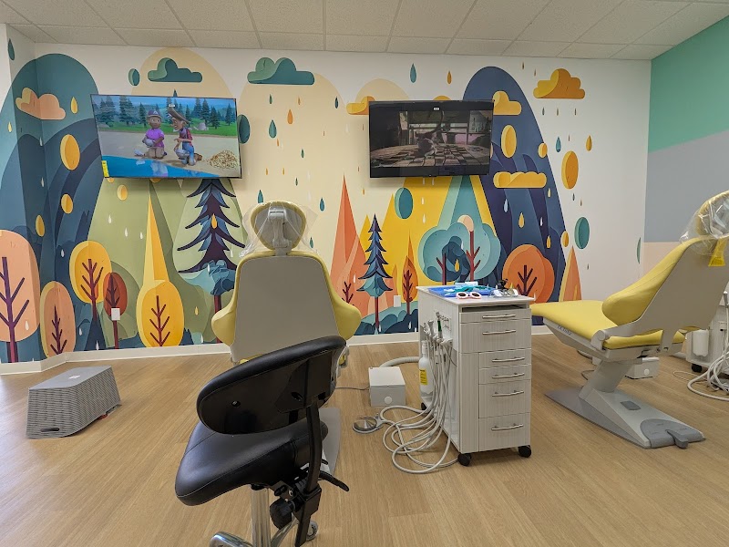 Sumedha Sharma, DDS — pediatric dentist in Willis
