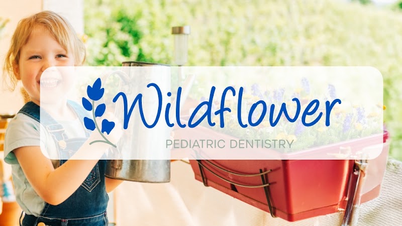 Terry David Taylor, DDS — pediatric dentist in Bellaire